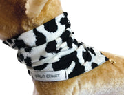 Cozy Neck - DALMATIAN