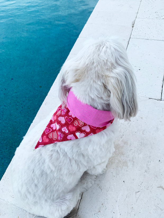 Bandana - LUV