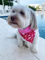 Bandana - LUV